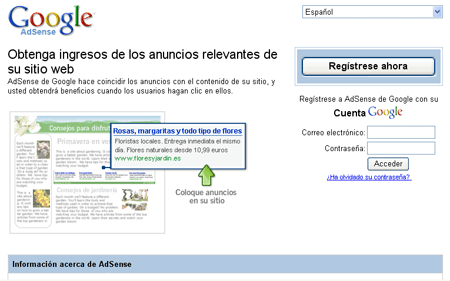 Google Adsense